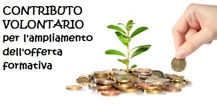 Contributo volontario